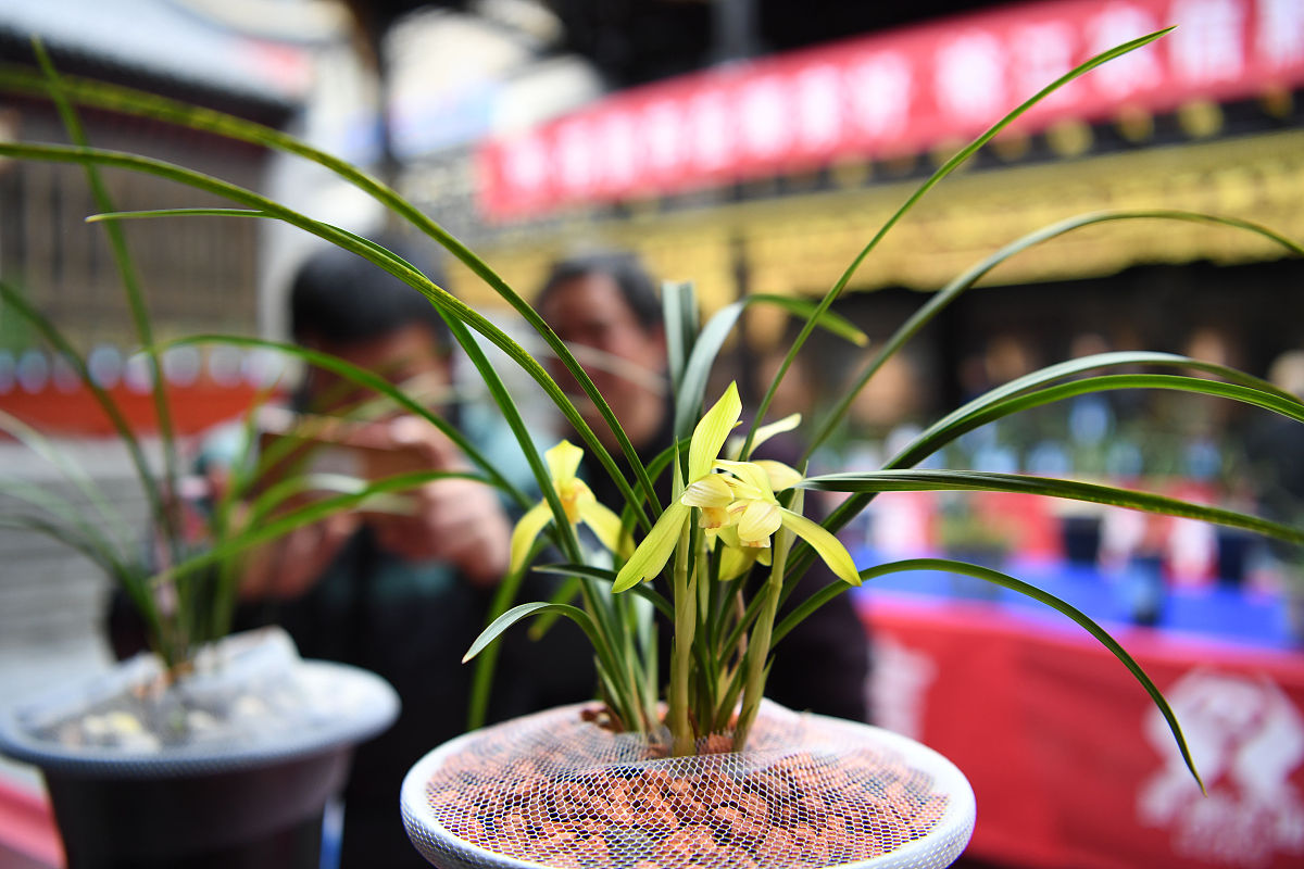 贵州民族大学中专部2019招生简介