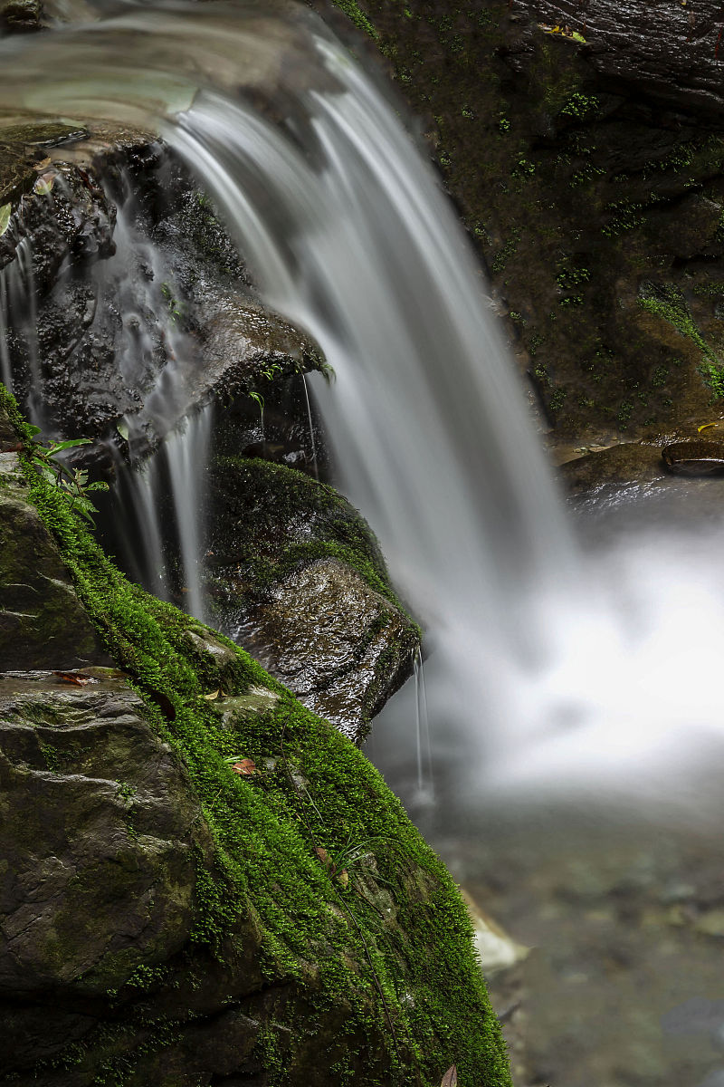 贵州省商业学校热门专业推荐 | 经济、管理、文化旅游哪个好？