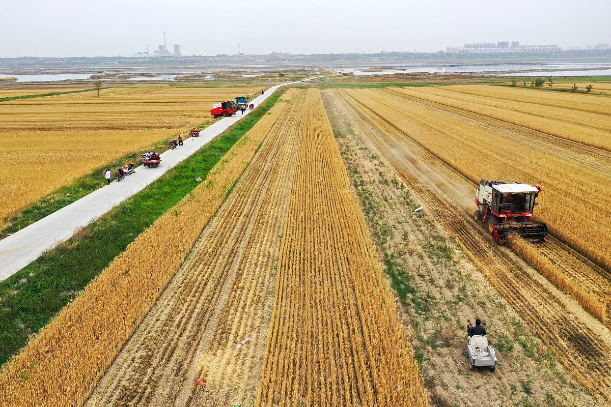 运城口腔卫生学校2021年招生专业介绍 - 培养口腔健康专业人才