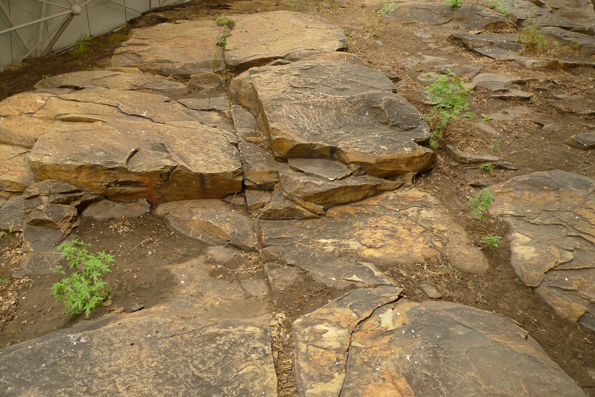 台阶式下沉大裂缝对地表漏风的影响及治理措施