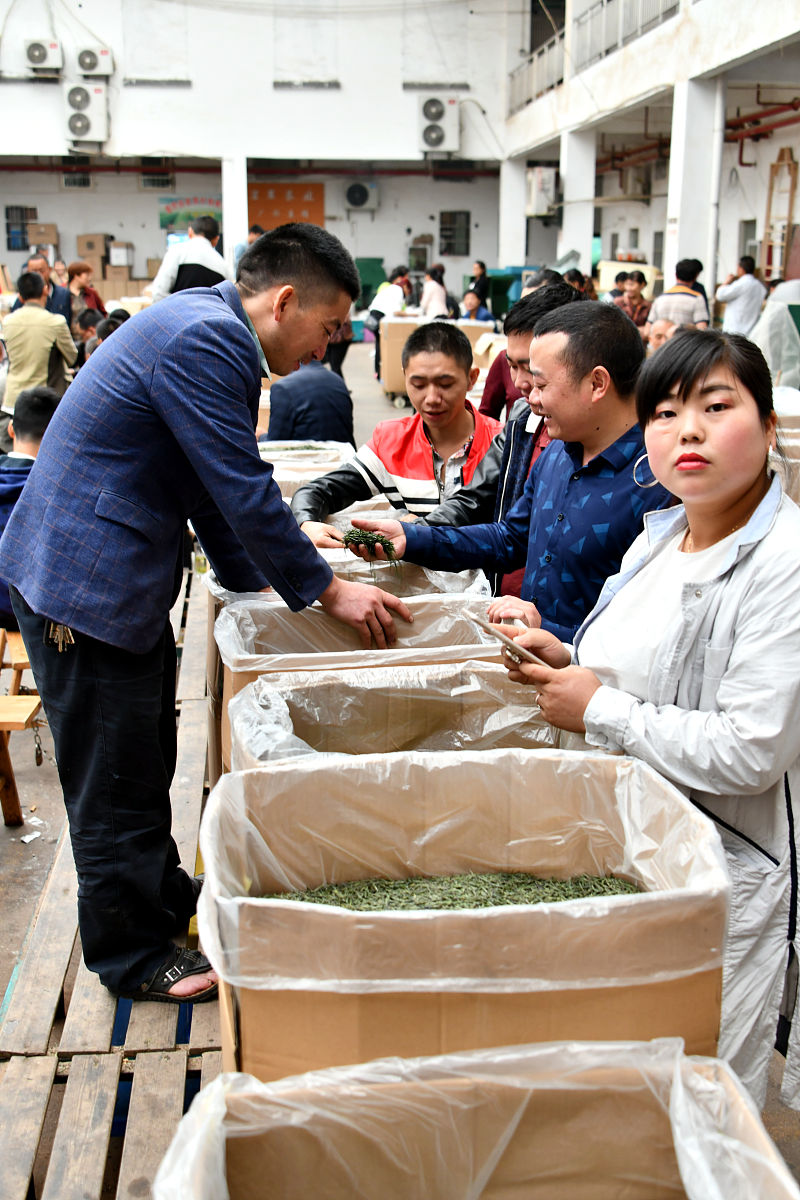 梧州市第二职业中等专业学校茶叶生产与加工专业怎么样好就业吗