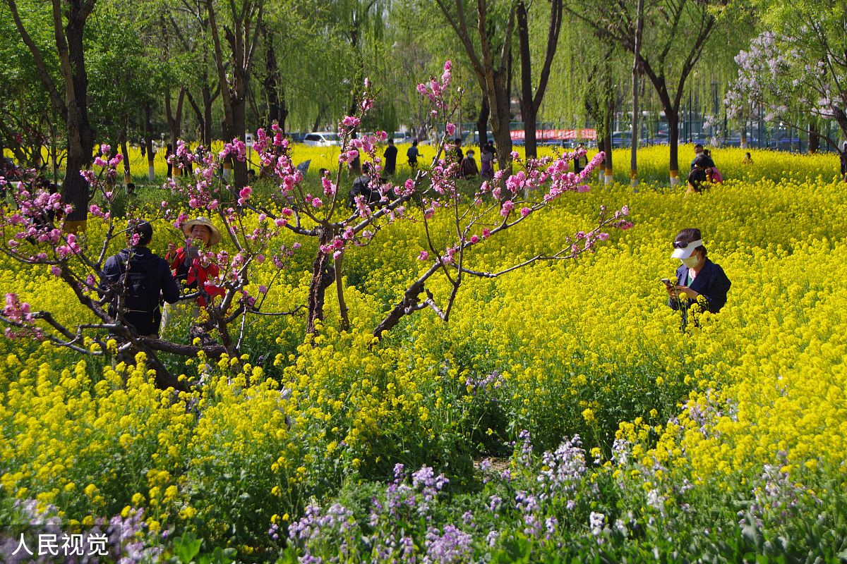 小学课本里 描述春天的课文