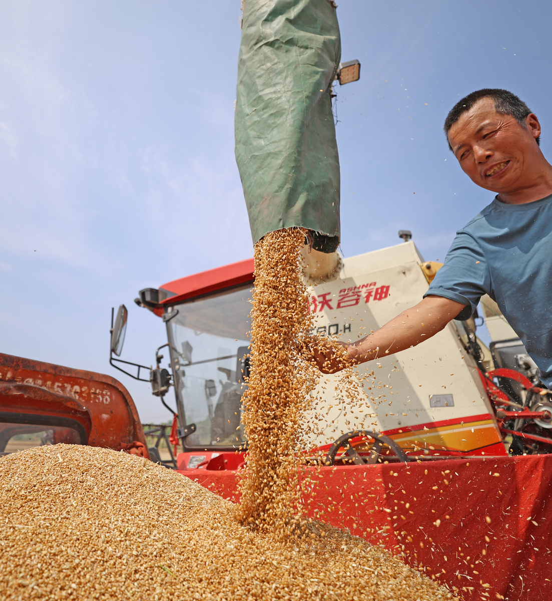 1某地方储备粮承储企业2017年7月接到省级地方储备小麦收购任务计划数量1000吨2017年10月底前完成。该企业2017年8月、9月、10月分别从生产者购进小麦400吨、500吨、200吨应如何统计？