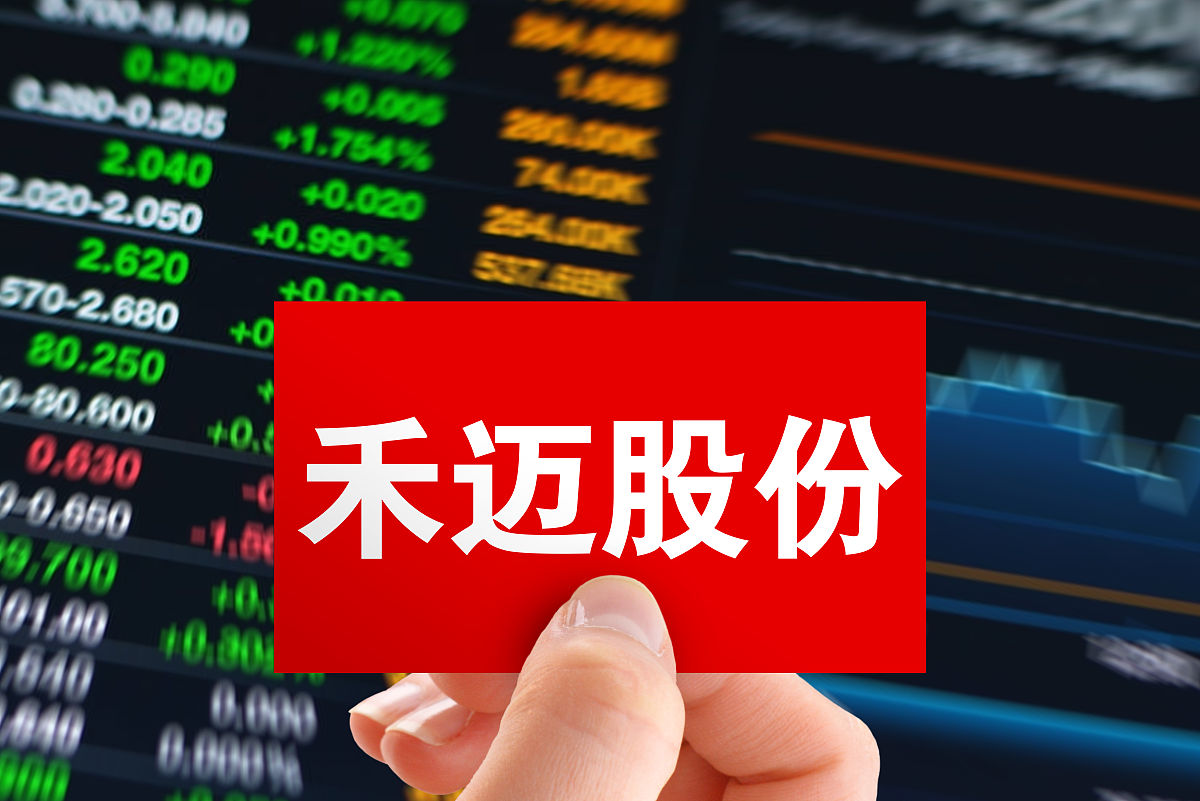 商业配图:禾迈股份
