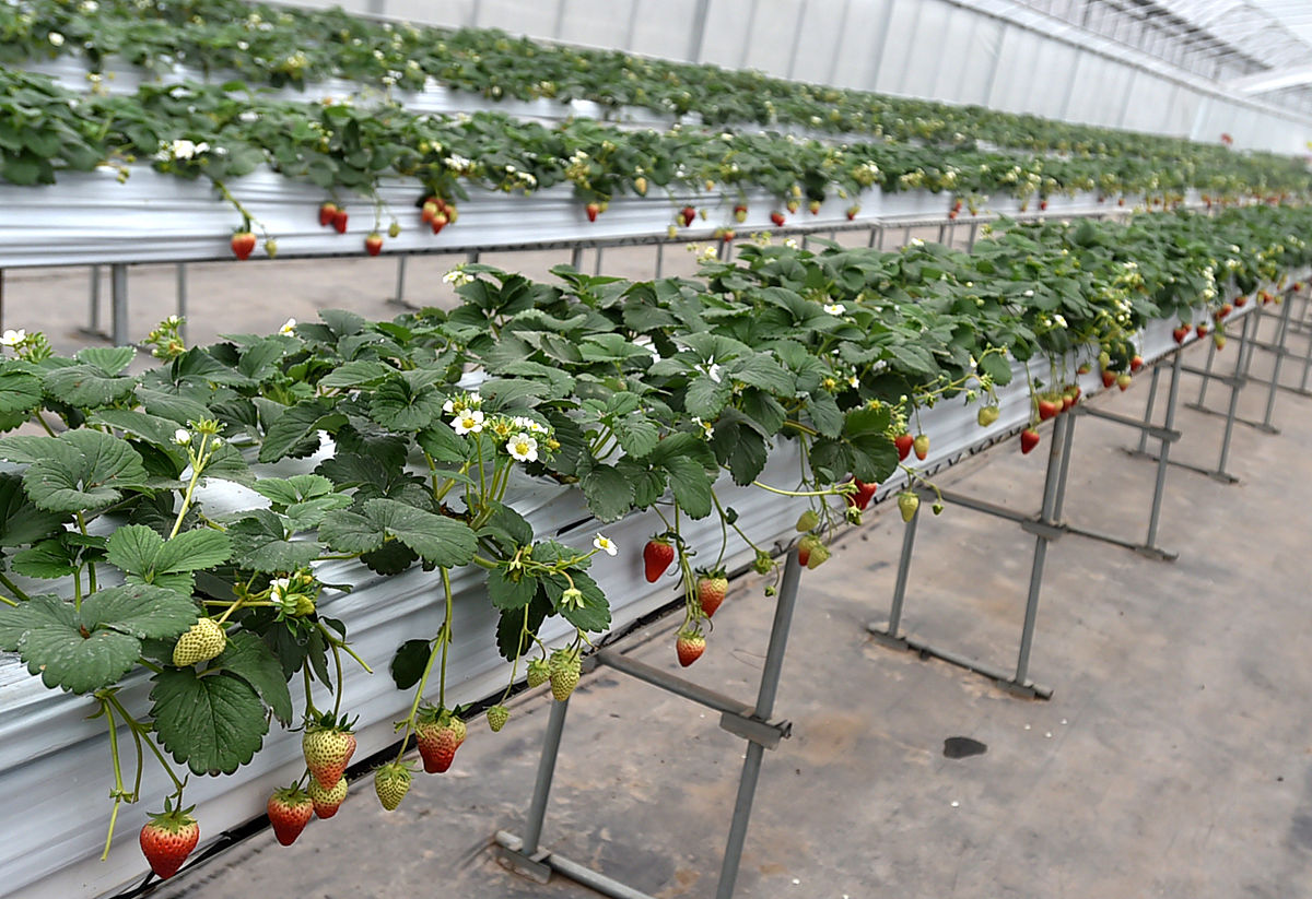 凉山州农业学校开设专业