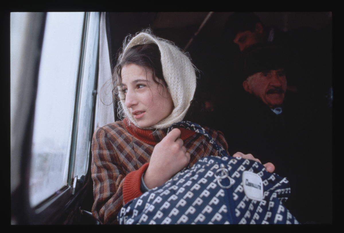 Reflections on Life is Beautiful English VersionThe View of La Vita E Belle La Vita E Belle also called Life Is Beautiful is an Italian movie ran in 1997 which tells a story about how Guido—the hero o