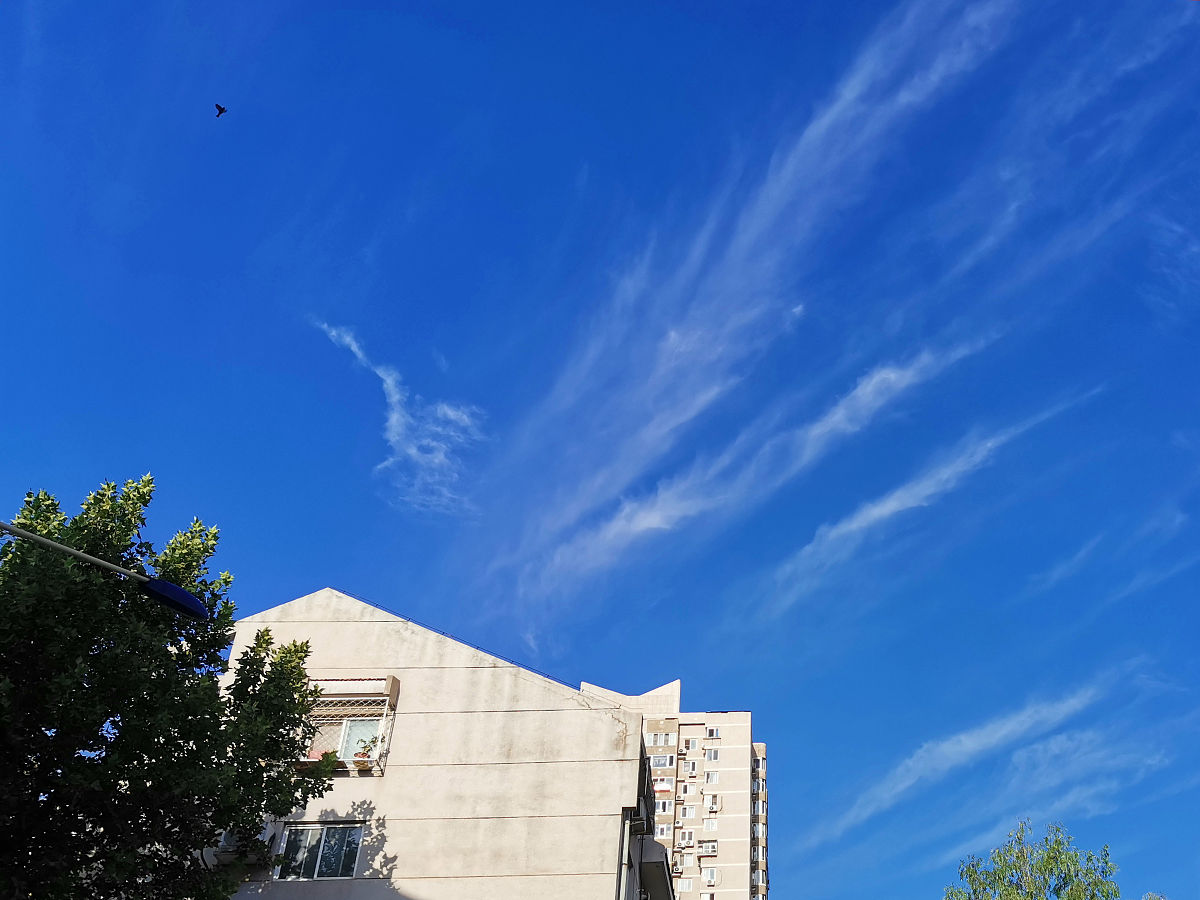 2020年8月14日,北京持续高颜值天气,蓝天白云,秋高气爽,景致美丽.