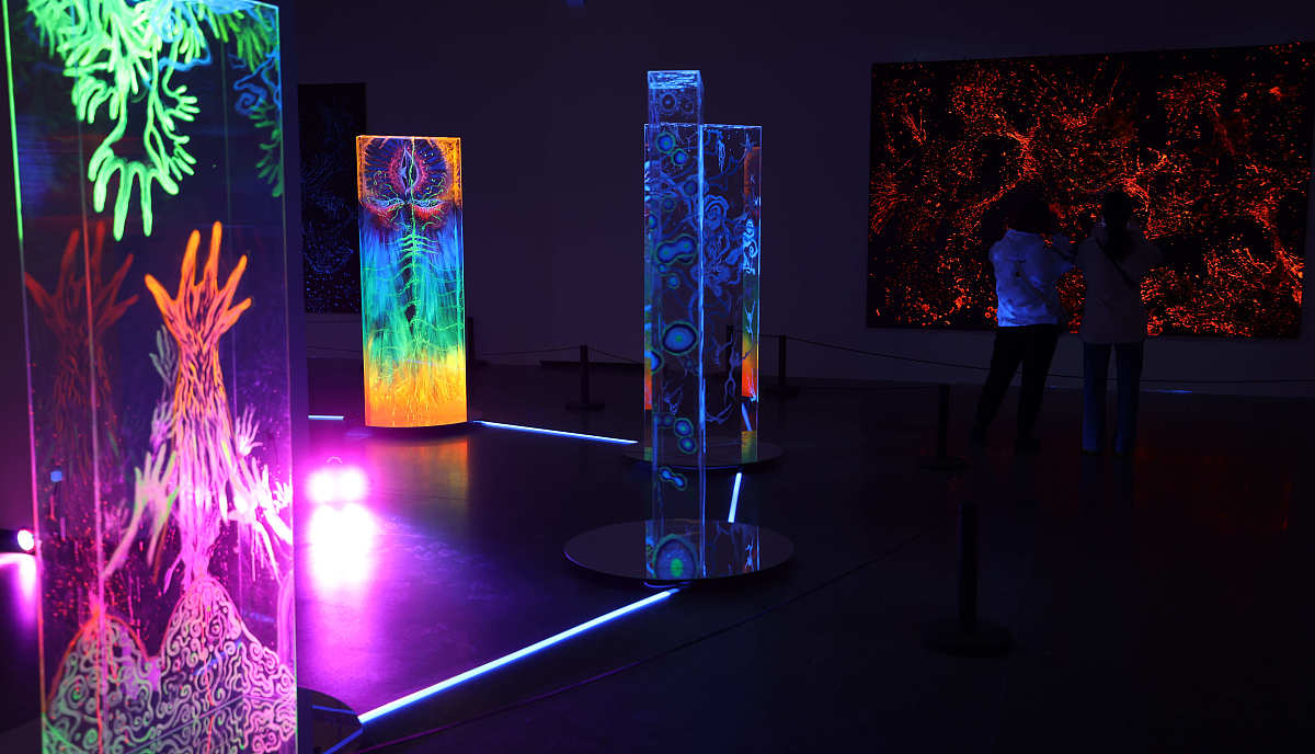 天津市美术中等专业学校2+3计划：升学路径与优势解读