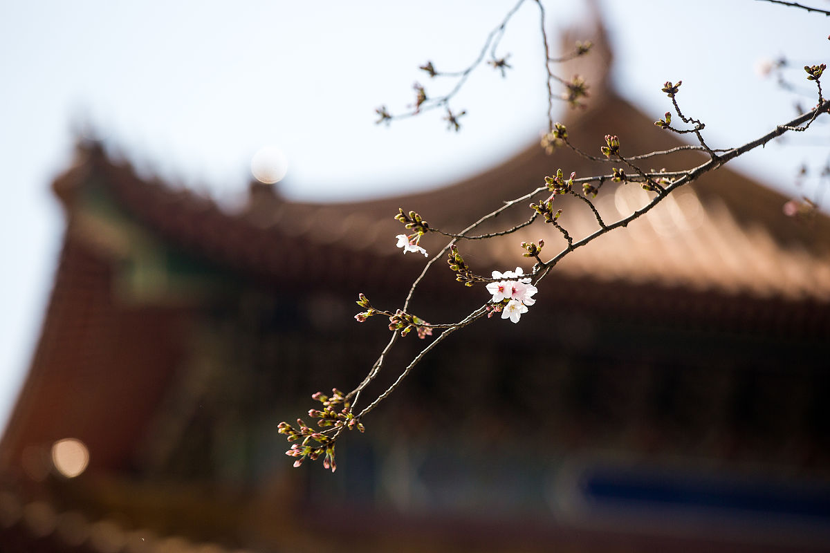 浙江横店影视职业学院商务英语专业怎么样？ - 课程设置、实践机会和就业前景