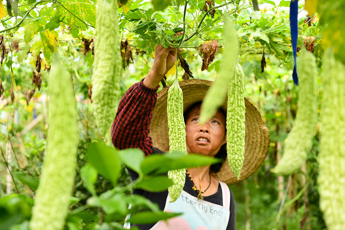 广西桂林农业学校2021年招生条件 - 培养高素质农业人才