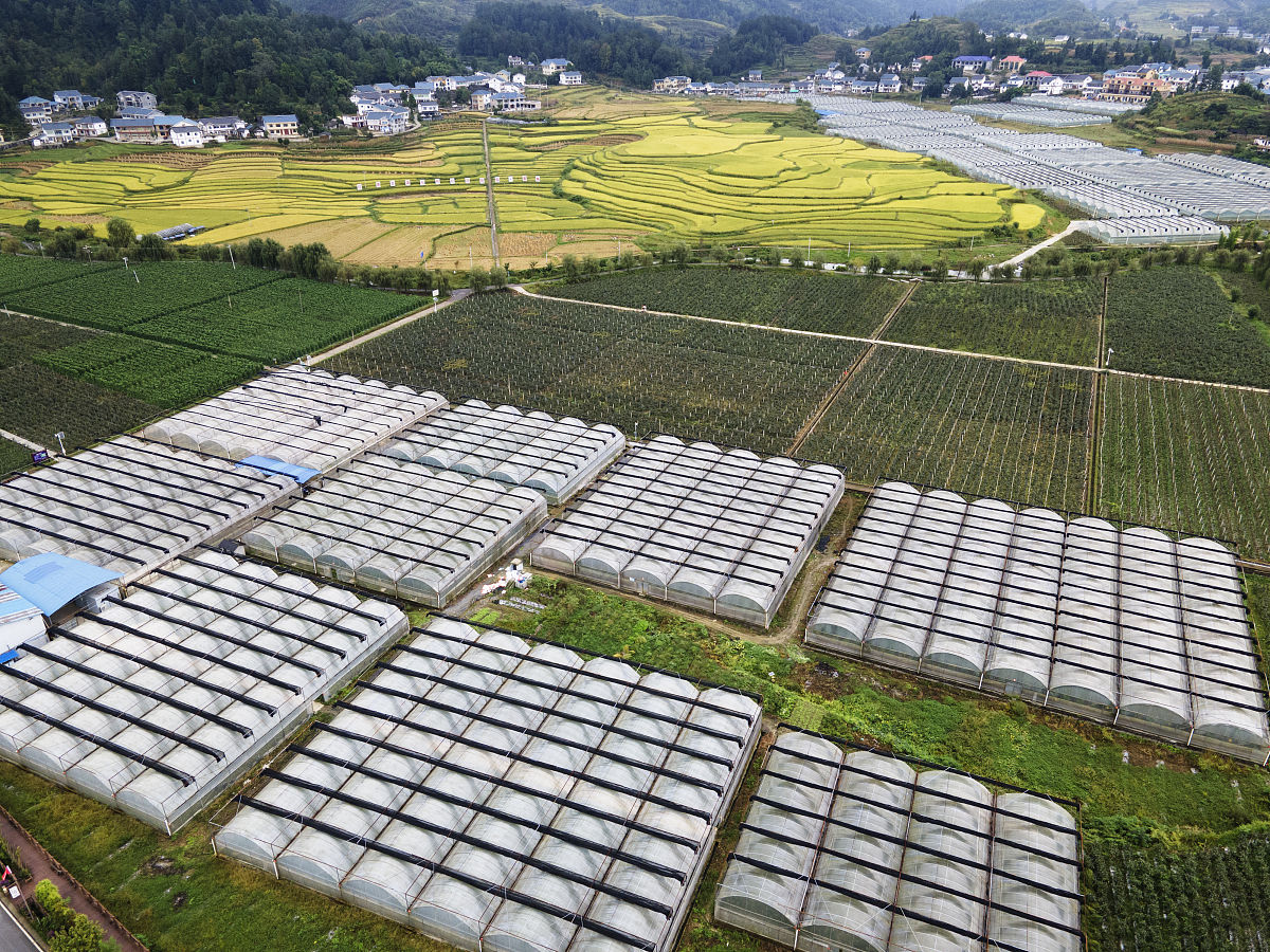 文章内容是贵州起重设备安装工程资质新办内容生动