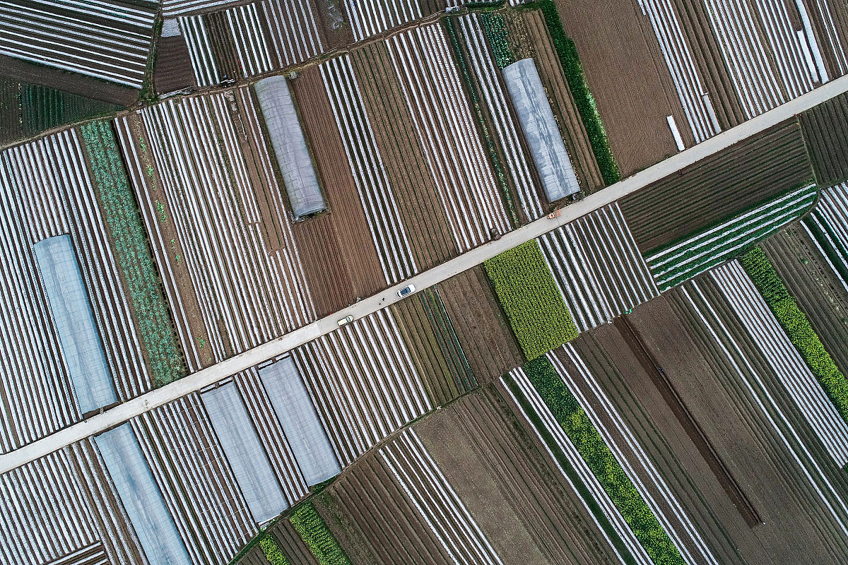 关于四川阆中建筑施工总承包二级资质新办及转让多少钱字数