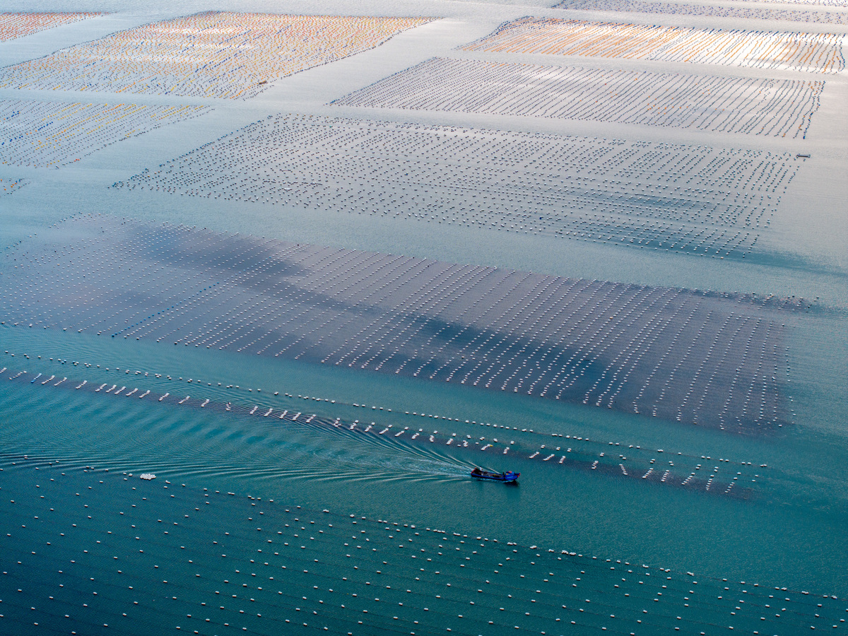 渔业自动化发展有哪些