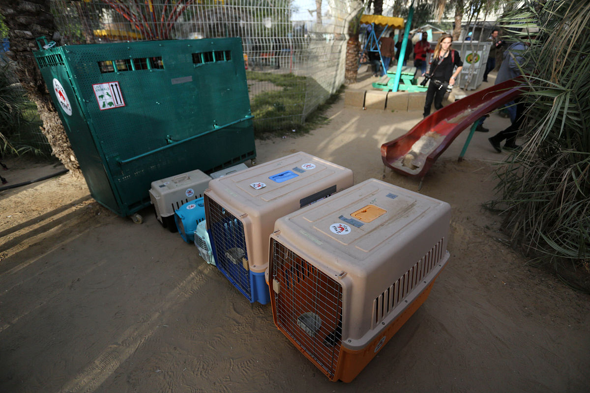 请你谈谈当前兴隆联社存在的制约发展问题