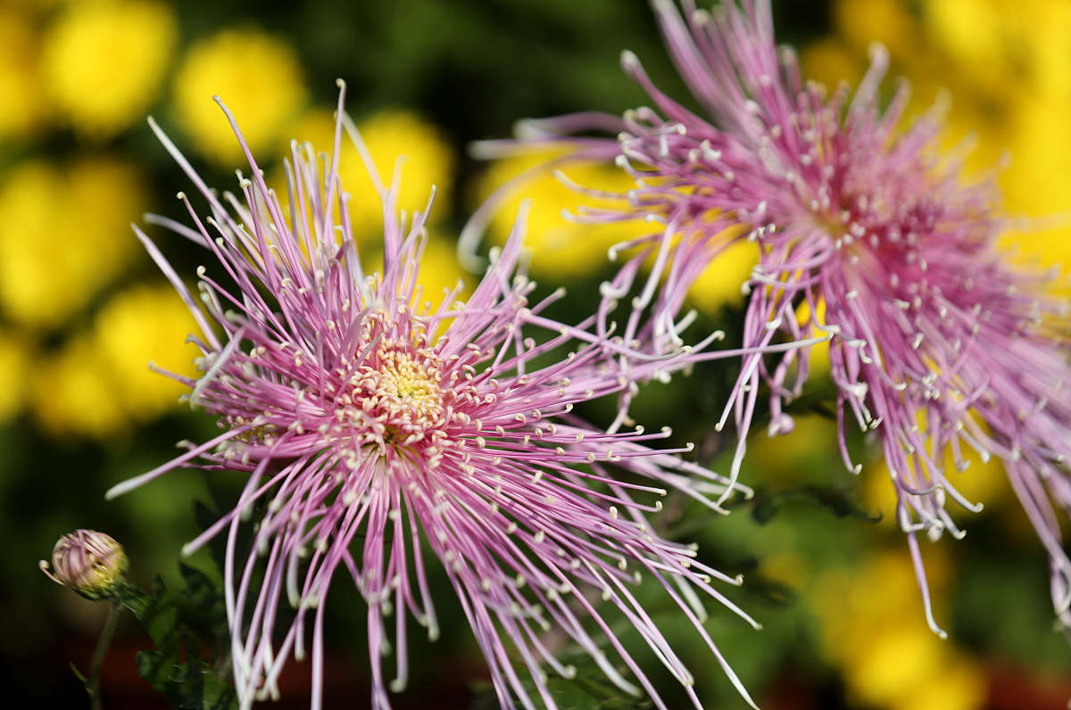 山东水利技工学校工程造价专业怎么样