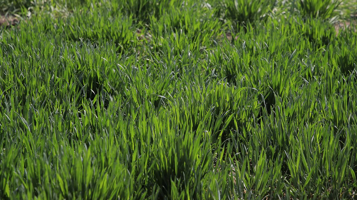 曲靖农业学院五年制招生 | 报名电话 | 农业科学专业