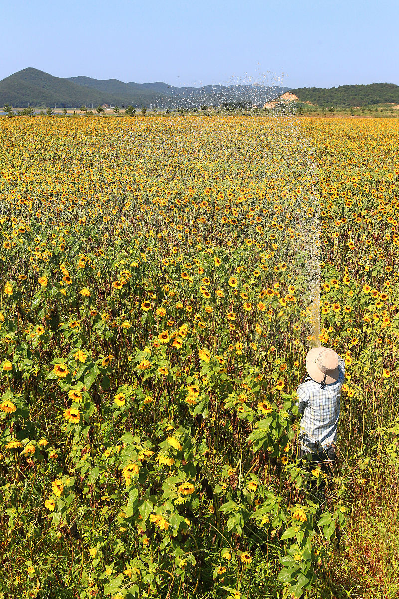 铜仁广播电视大学中专部农林经济管理专业怎么样