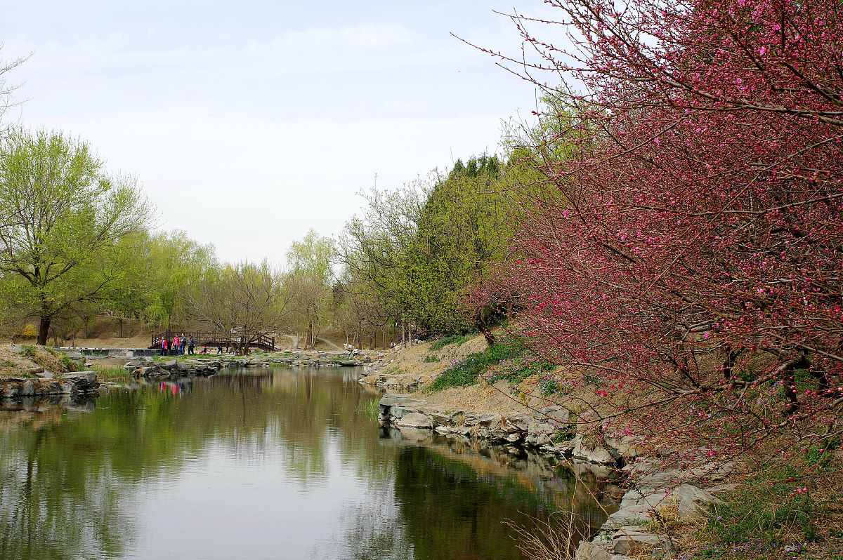 春日郊游记：温暖阳光下的美好旅程