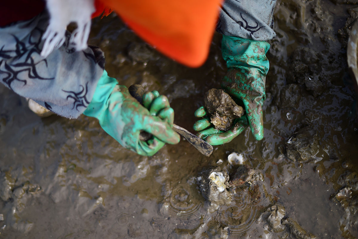 花王碧柔活水防晒霜 - SPF50+ 防晒保湿，舒缓肌肤