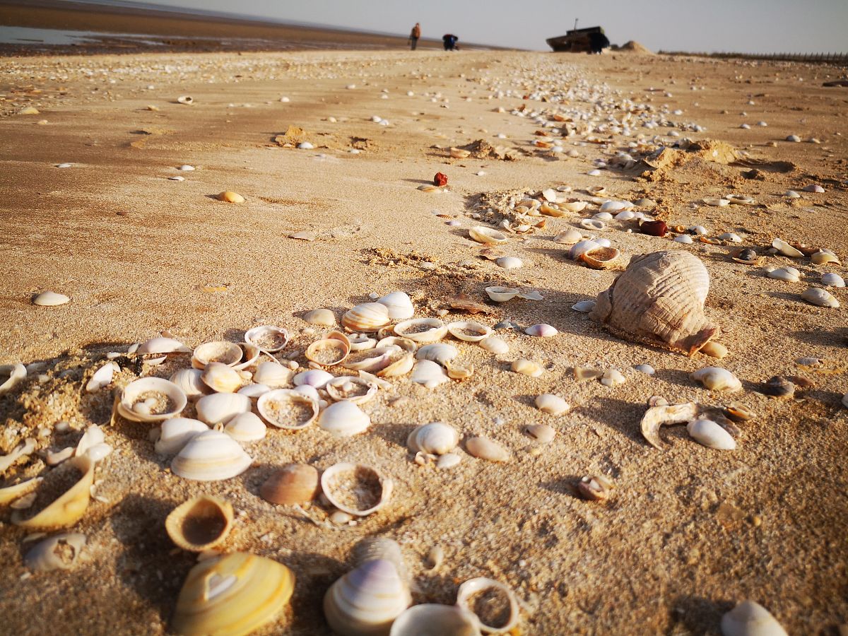 我国自20世纪80年代后期逐步开放了土地使用权市场并建立了完善的土地价格体系结合所学知识论述基准地价、标定地价和征地区片综合地价有何不同他们之间的关系是什么试举例说明。