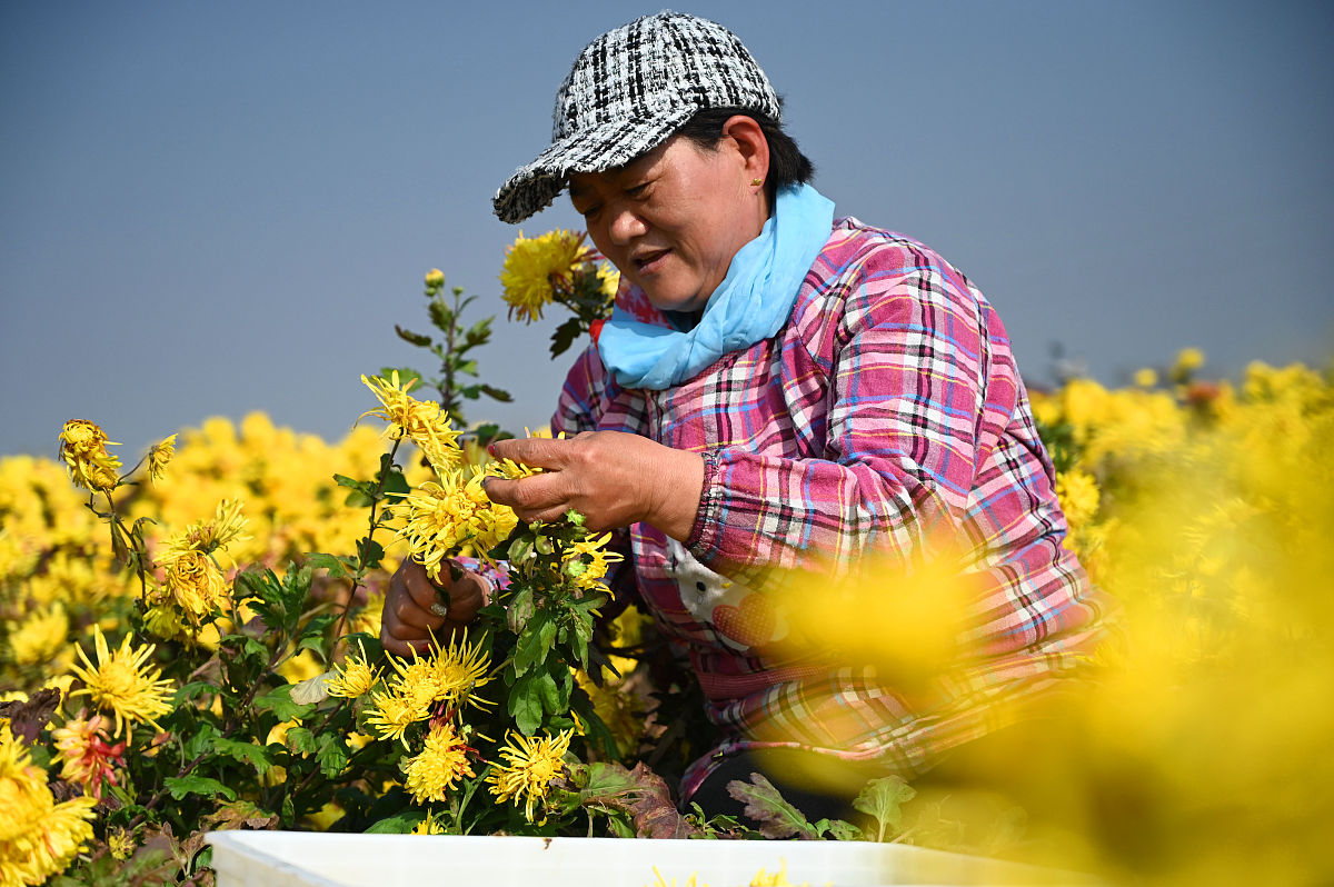 徐州医药高等职业学校专业介绍：2021年招生专业一览