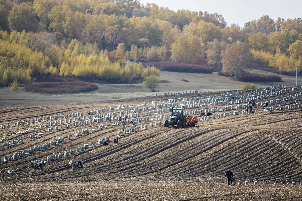 劳动的边际产量怎么算劳动的边际产量是指增加一单位劳动力时产出增加的数量。它可以通过以下公式计算：劳动的边际产量 = Δ产出 Δ劳动力其中Δ产出表示增加的产出数量Δ劳动力表示增加的劳动力数量。举个例子我看看