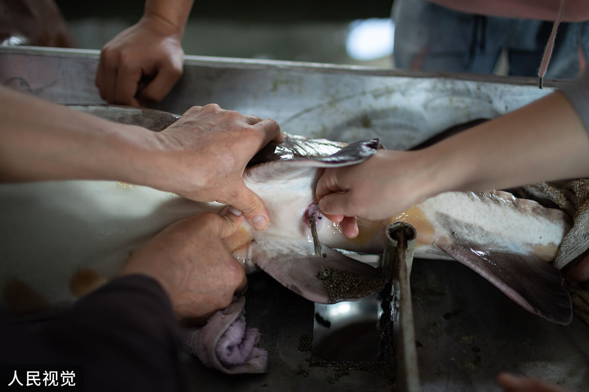 四川助产专业哪个学校好