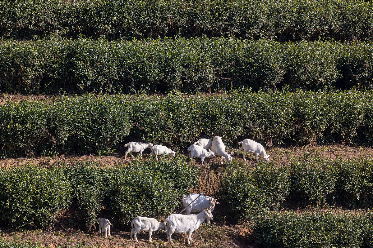 景宁县职业高级中学水电厂机电设备安装与运行专业：好学吗？就业前景如何？