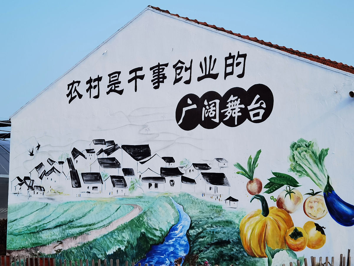 特色小镇助力乡村振兴：产业升级、文化传承、环境改善