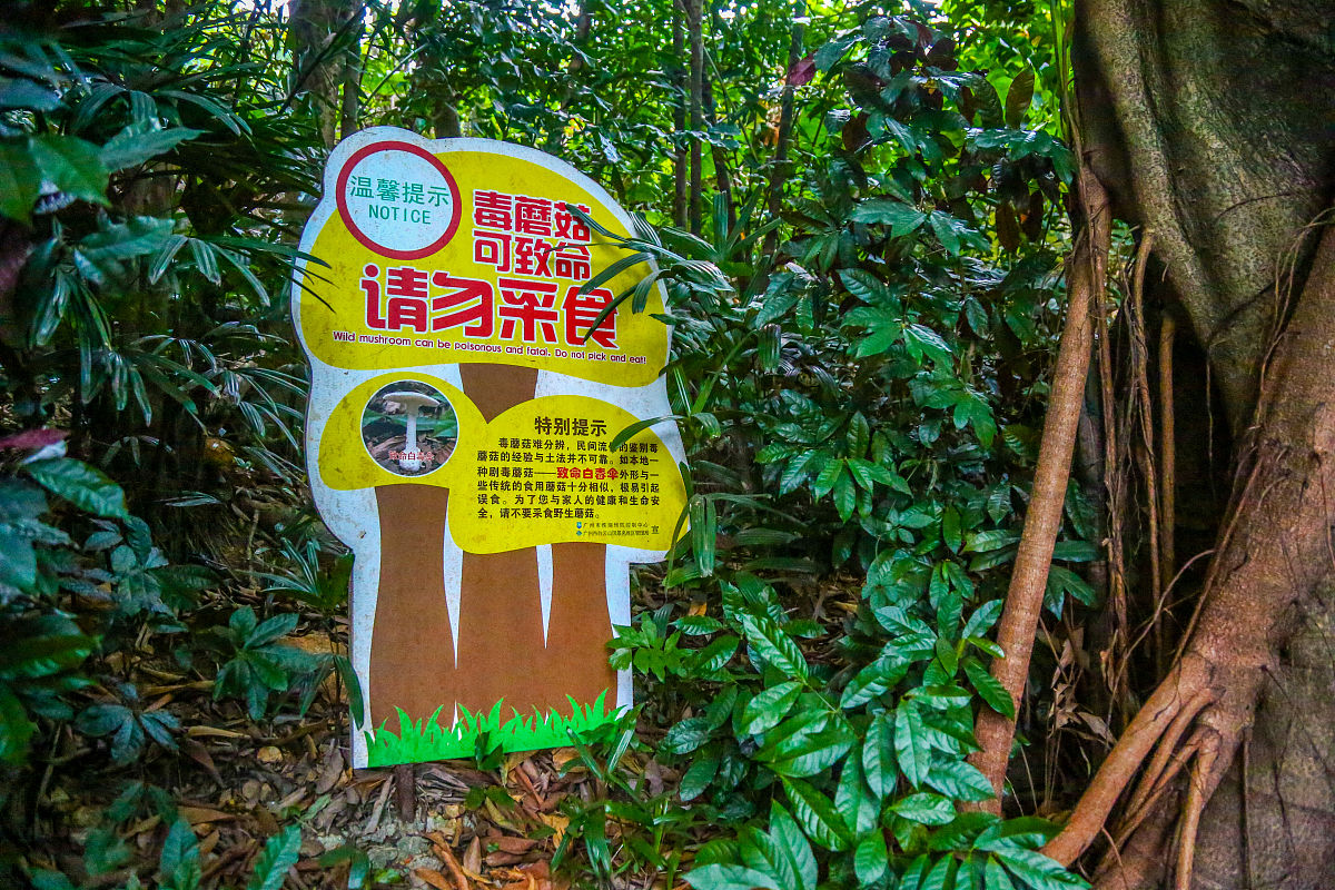 遵义幼儿师范学校管理制度：严格、完善、注重学生发展