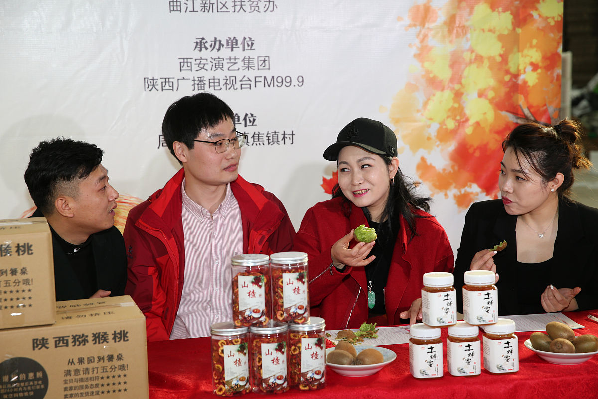 参考雏鹰计划、翱翔计划拟十个计划名称