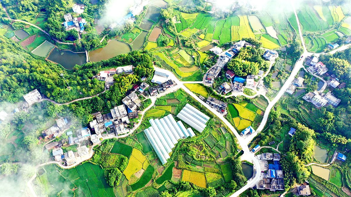 阐述丰顺县农村人居环境治理研究的理论意义包括：1通过问卷调查提升研究定量化程度；2拓展多元治理理论应用范围；3丰富农村人居环境治理的案例研究