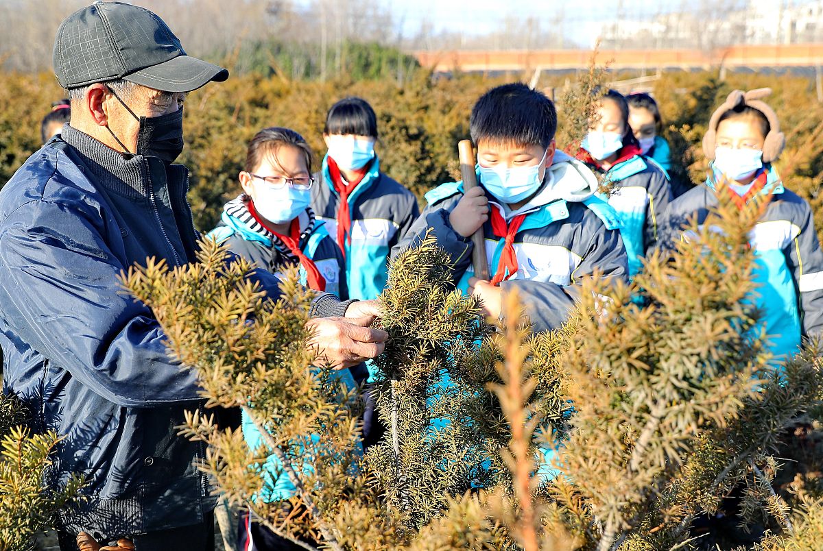 中小学劳动教育存在的问题及优化建议