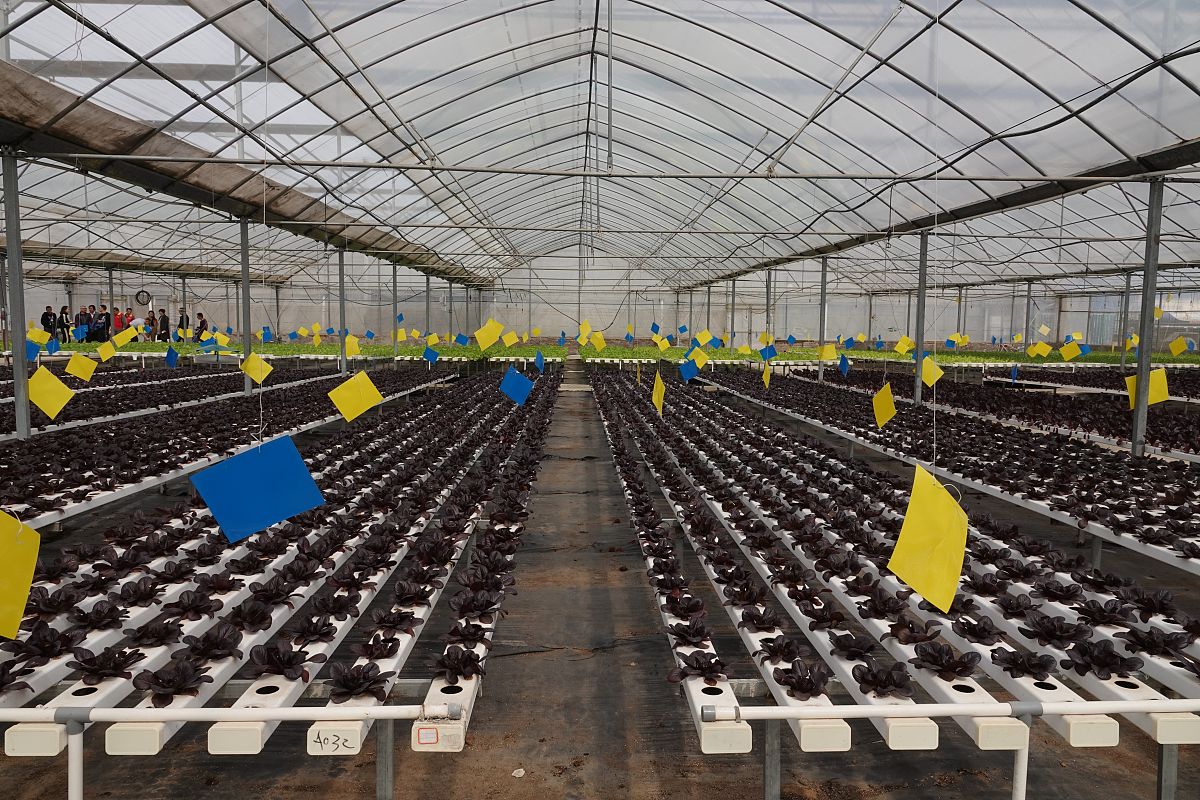 阳光工厂化养殖：20分钟带你了解未来农业新趋势