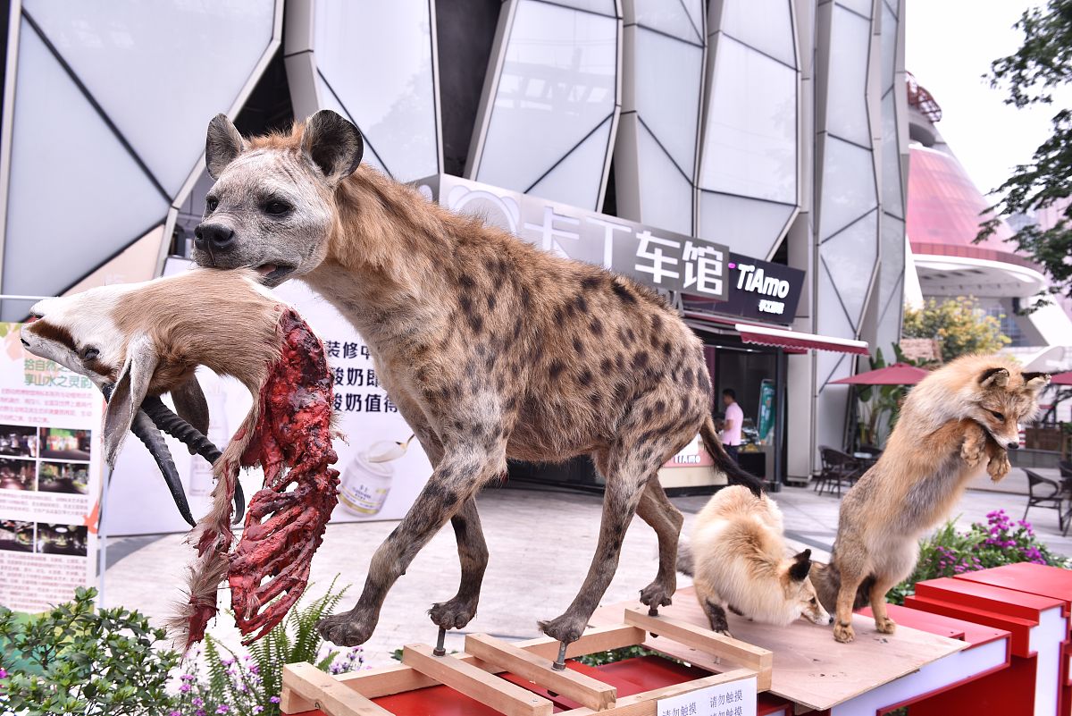 成都环保专业承包二级资质转让:办理流程及推荐公司