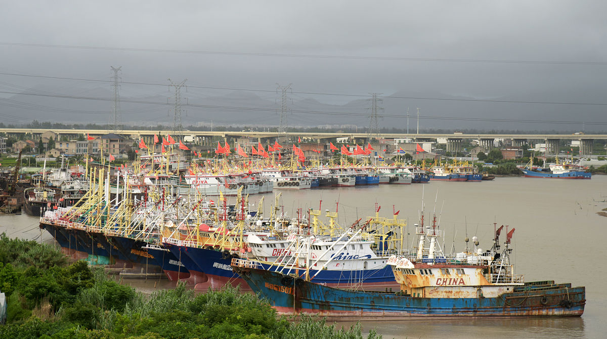 威海海洋职业学院船舶检验专业课程内容介绍 - 涵盖基础、核心、专业课程