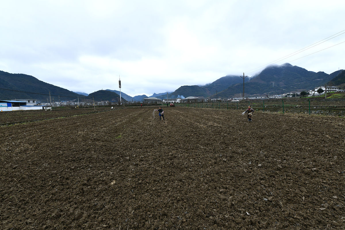 贵州中专学校哪个专业比较好？