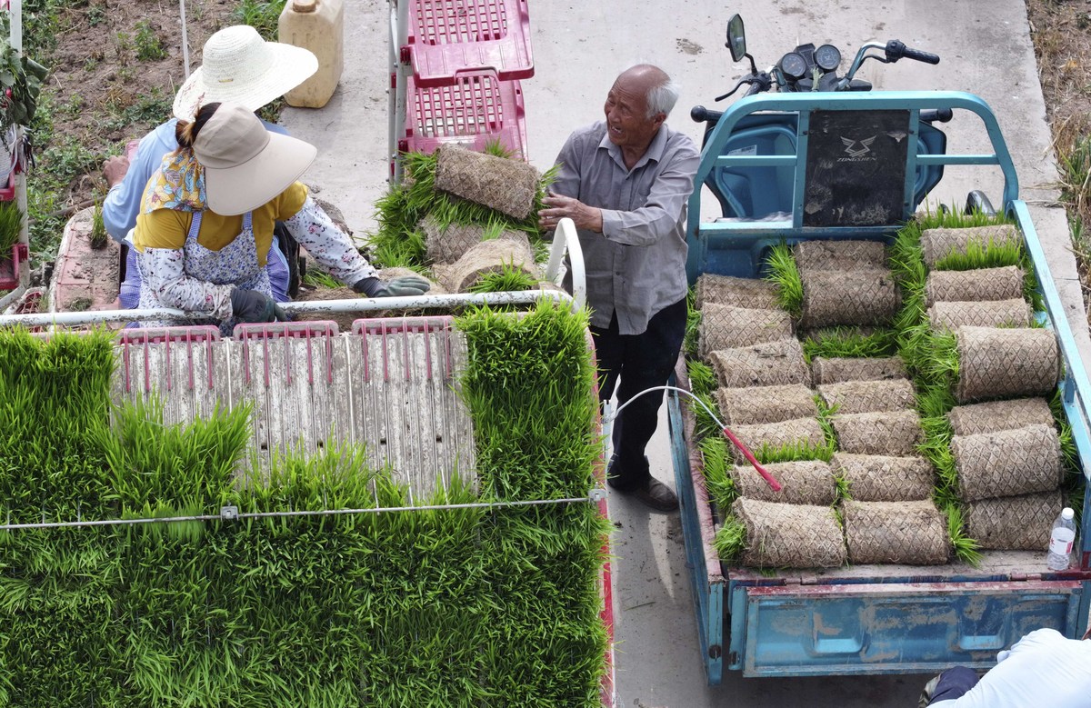 未来10大暴利种植