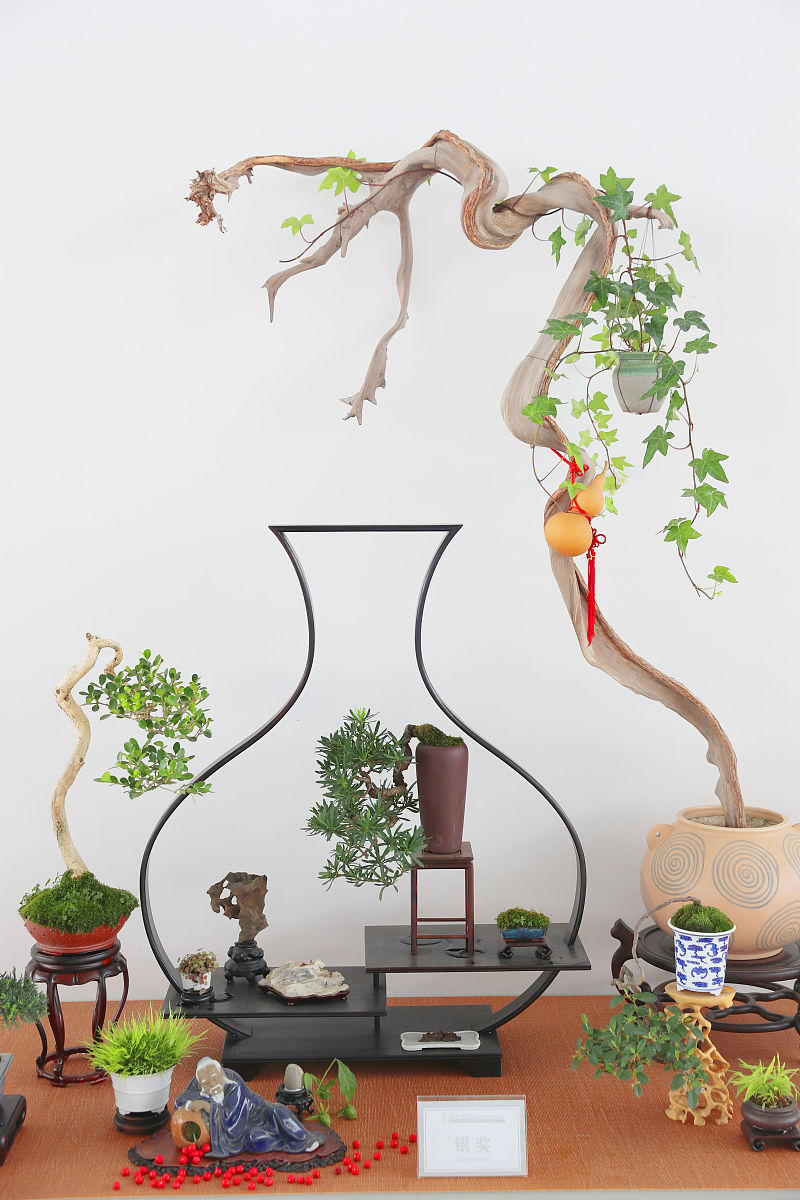 教育：新疆经济发展和产业升级的关键驱动力