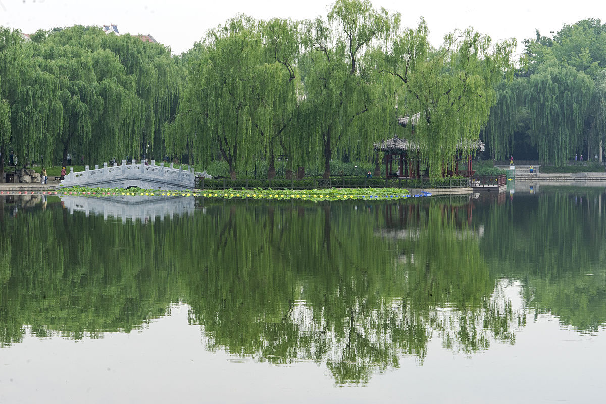 校园里，那如诗如画的风景