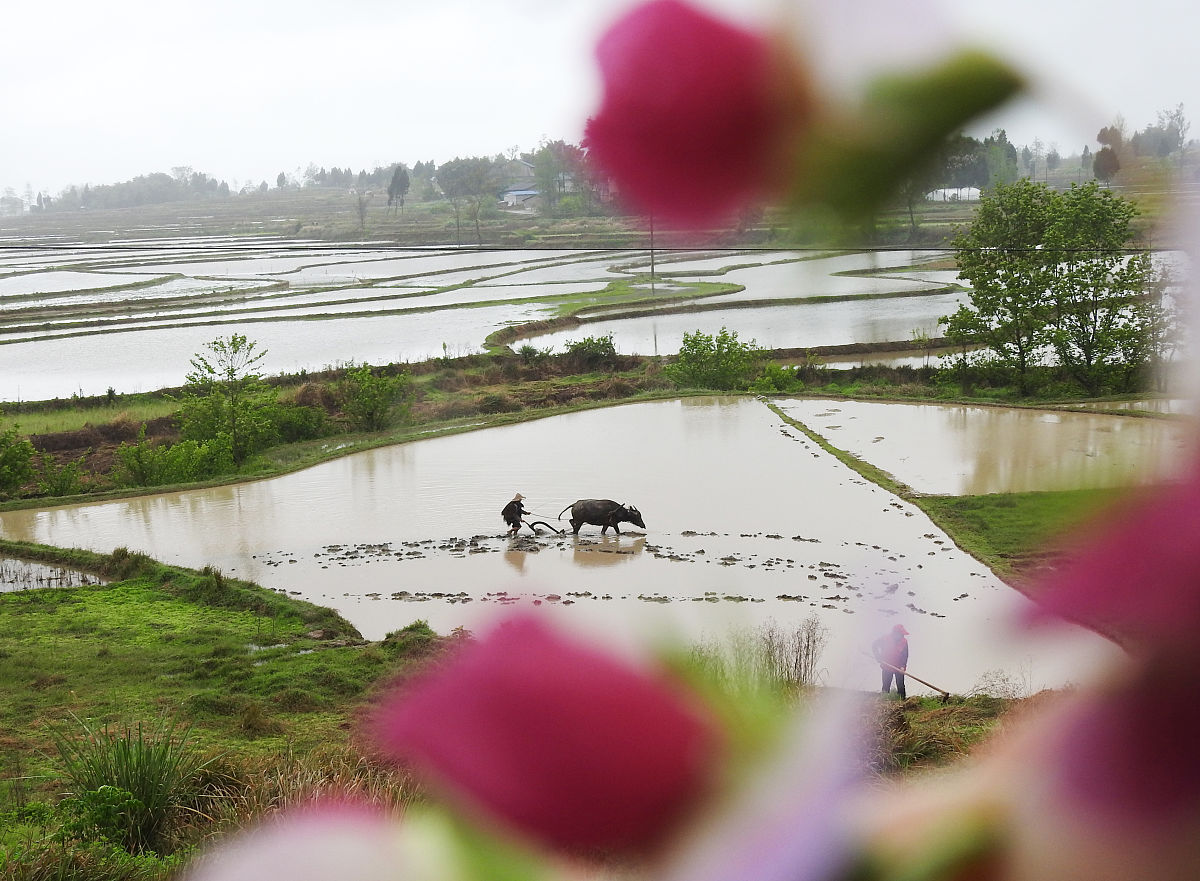 四川渠县职业学校2020年招生简章：报名方式、面试流程及专业分配