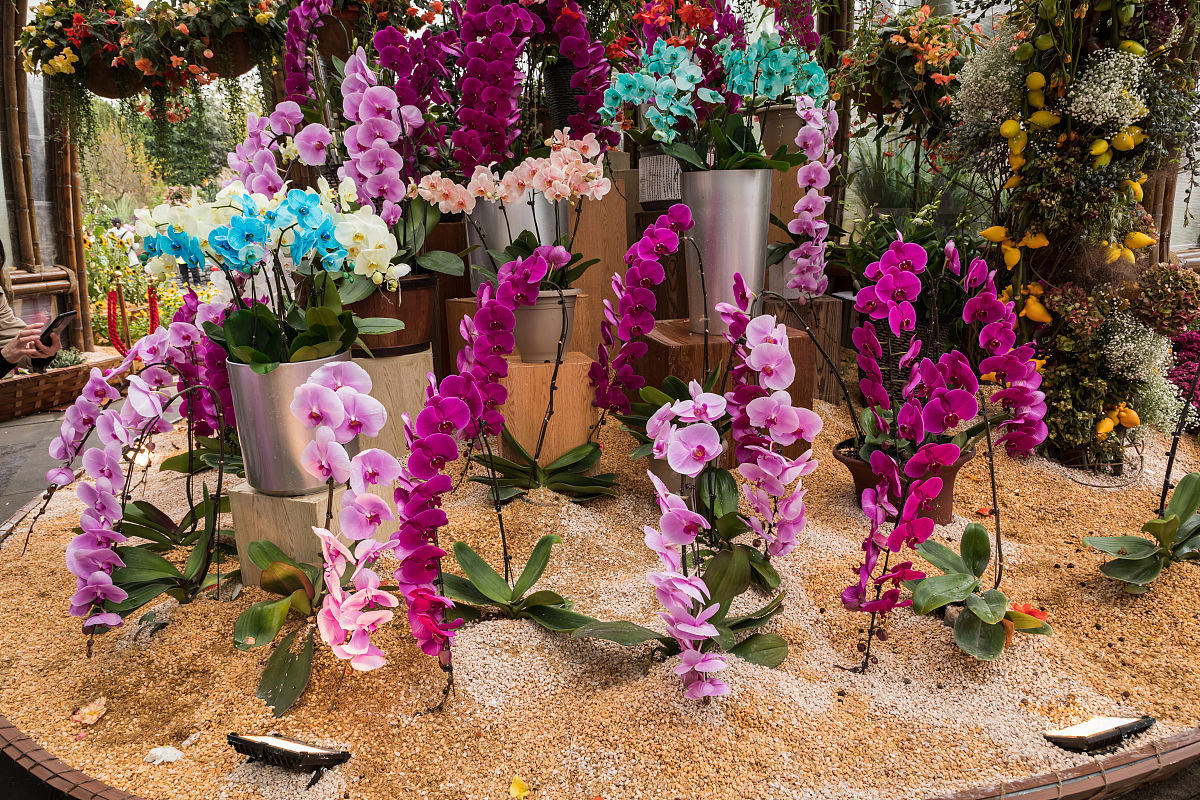 重庆城市职业学院连锁经营管理专业包含哪些重要课程