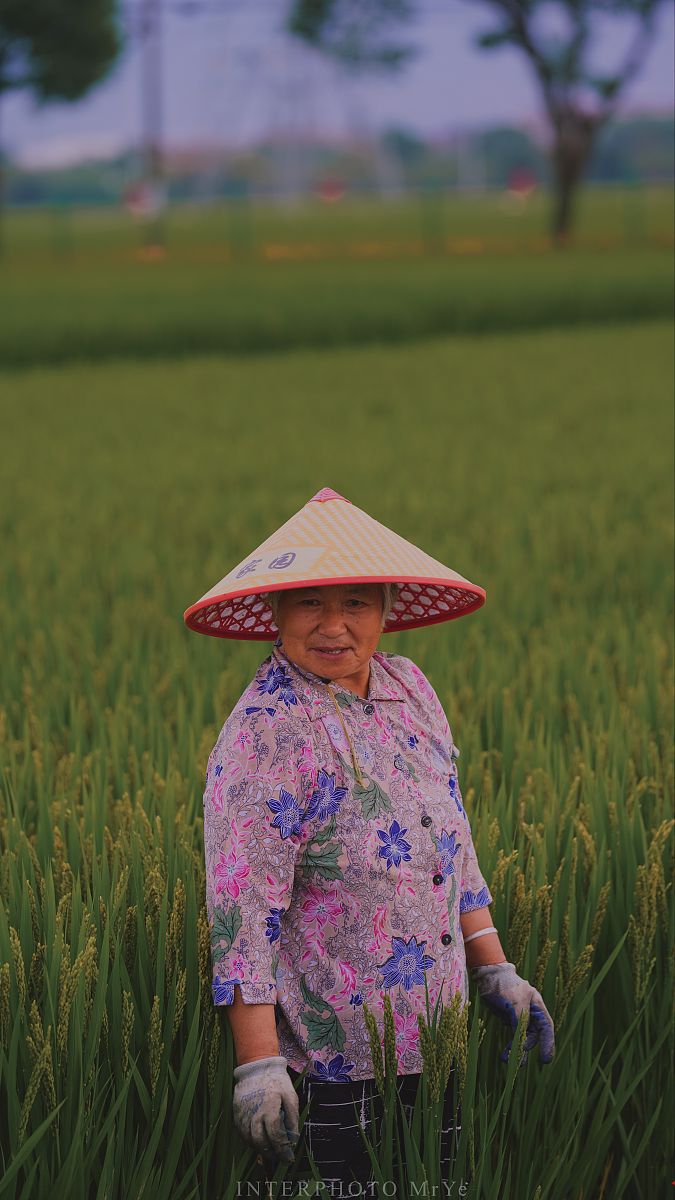 如何进行良种繁育推广