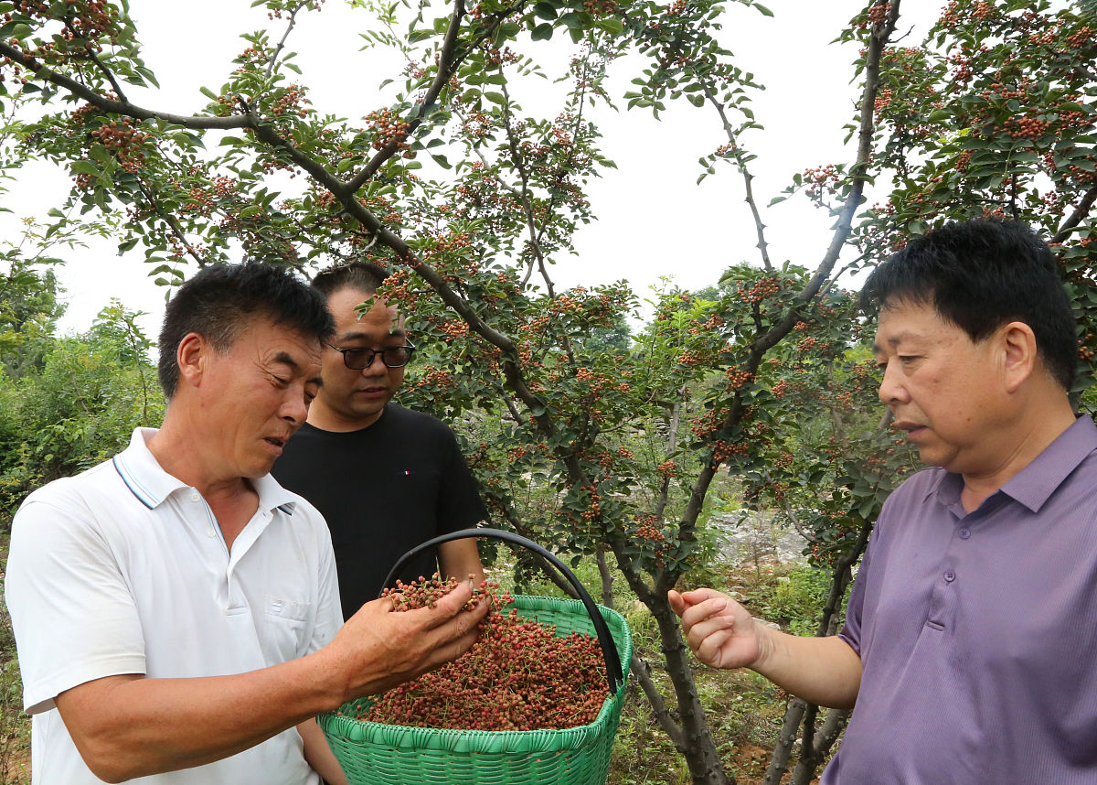甘肃林业职业技术学院林业技术专业就业方向有哪些