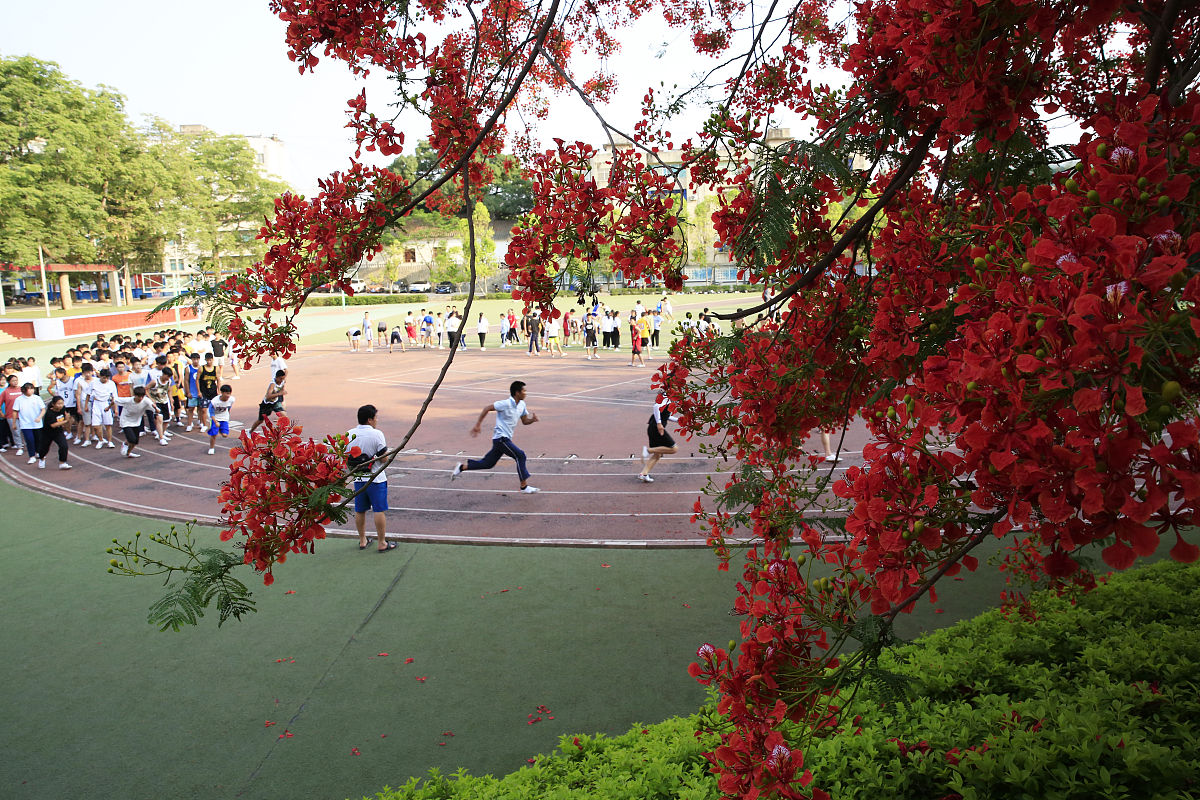 昭通卫生学校2023年招生前景分析-就业方向与优势