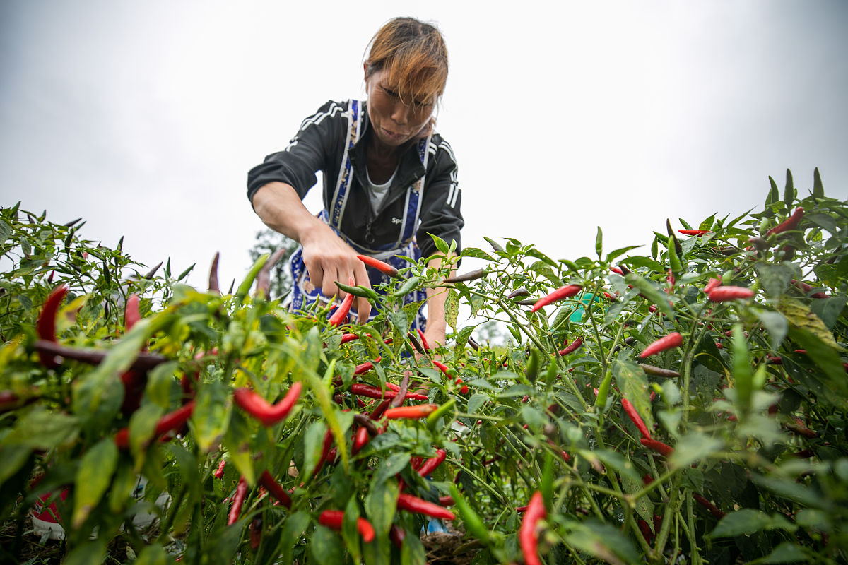 毕节中专学校就业前景分析 | 毕节市中专学校就业好去处