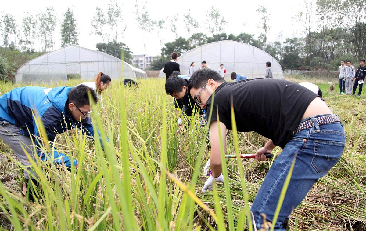 判断题】词语的形象色彩仅指词语具有形态方面的特点。