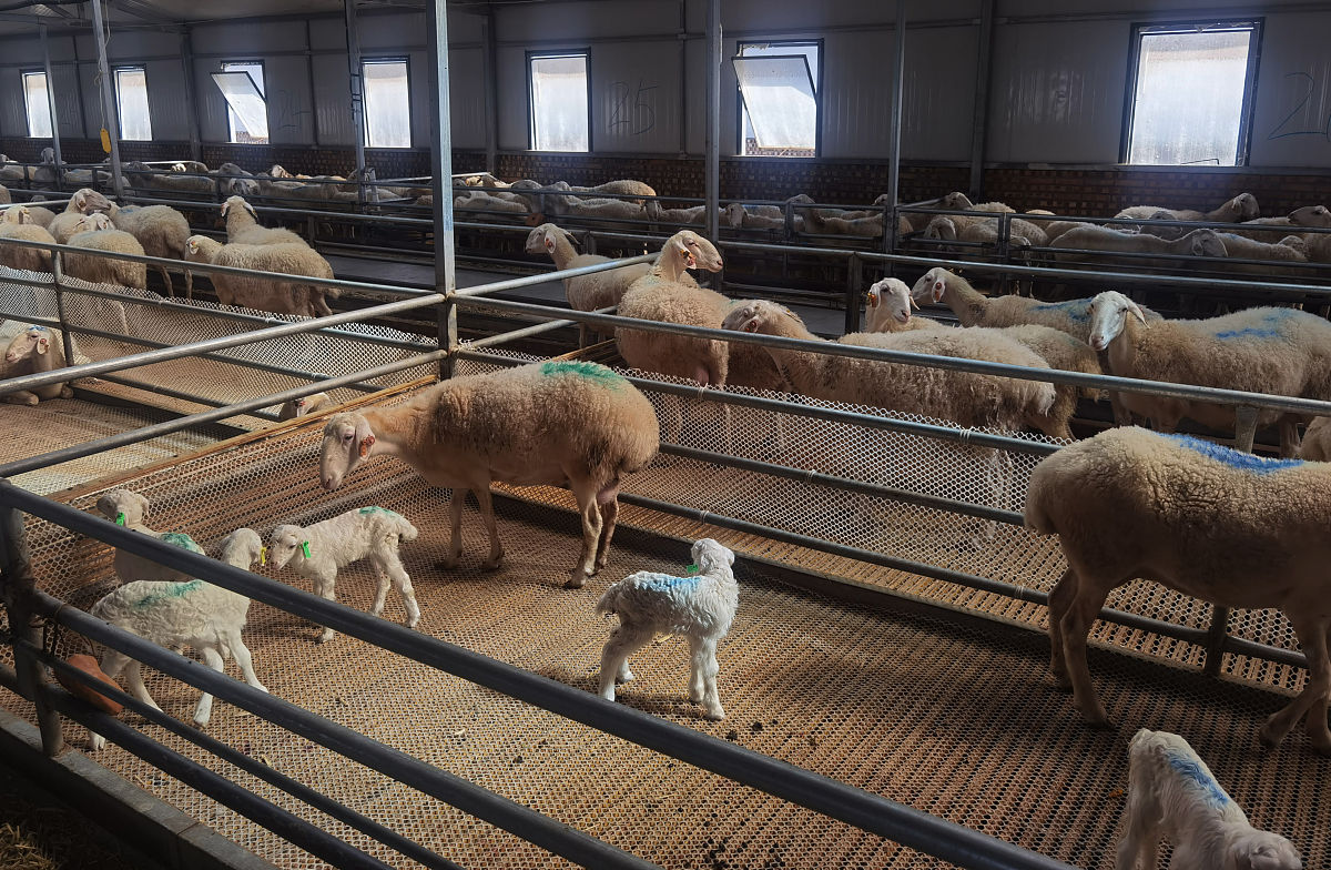 特种动物养殖专业就业前景？用