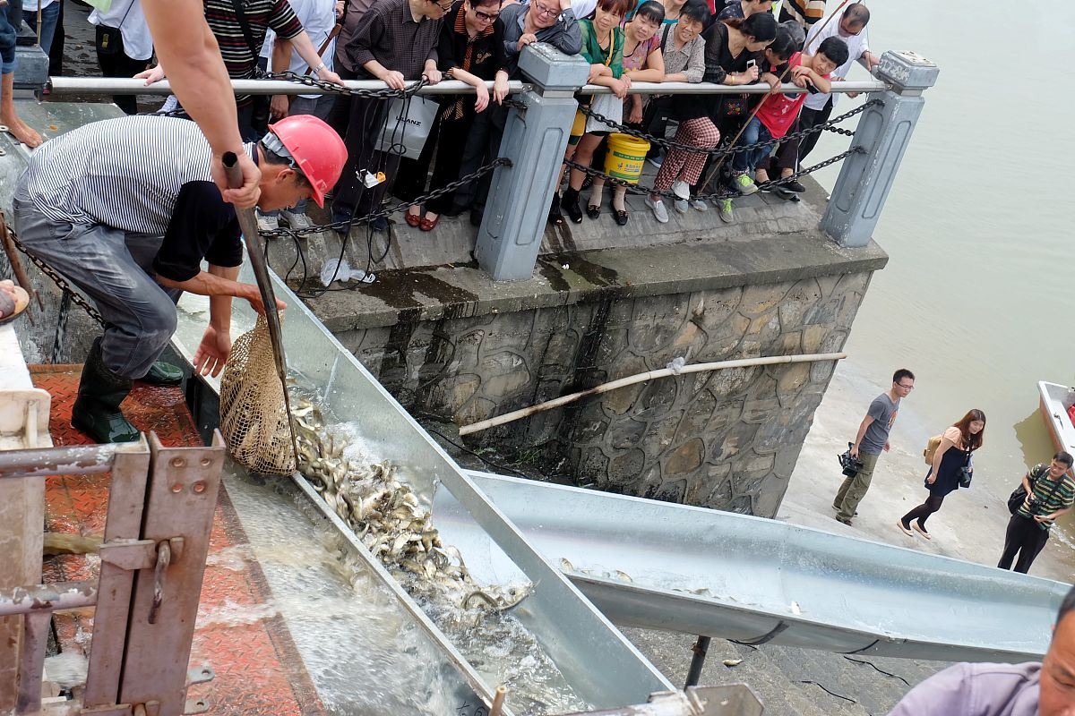 蒲思圻是哪里的人