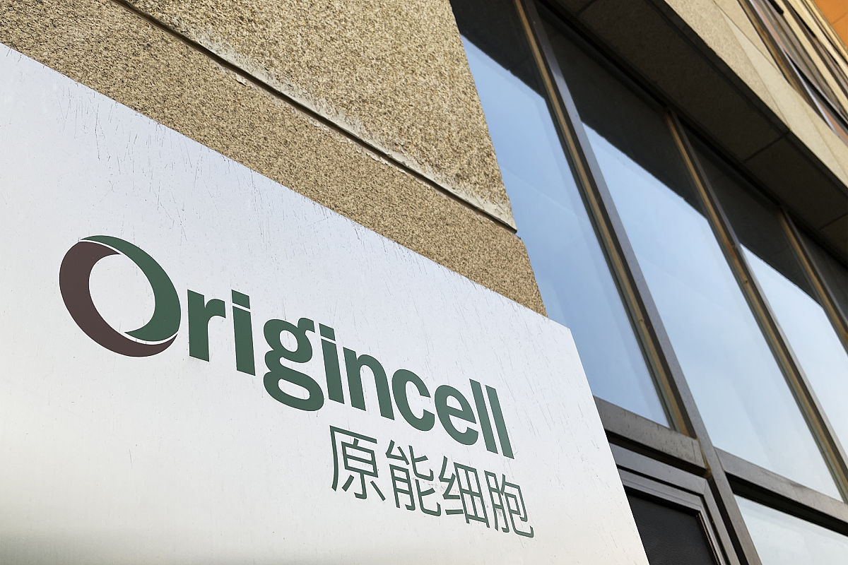 细胞、组织、器官、系统：生命结构的层级关系